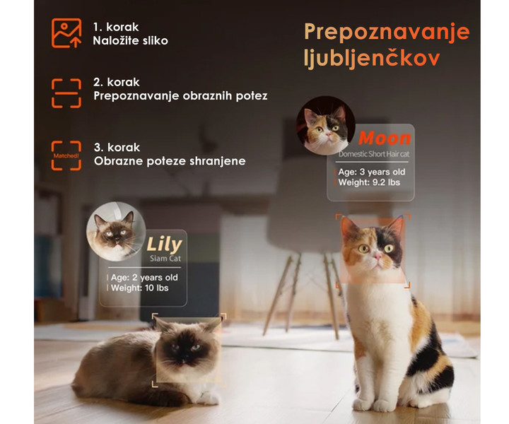 Prepoznavanje več mačk