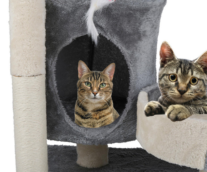 Naravna skrb za kremplje in igro