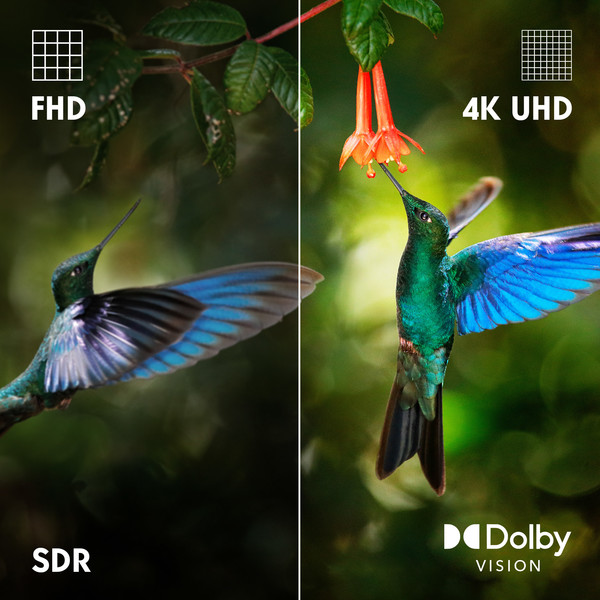 4K UHD + Dolby Vision