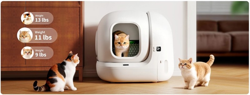 Udobje za vse mačke