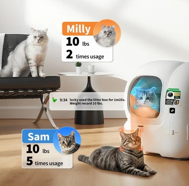 Prepoznavanje več mačk