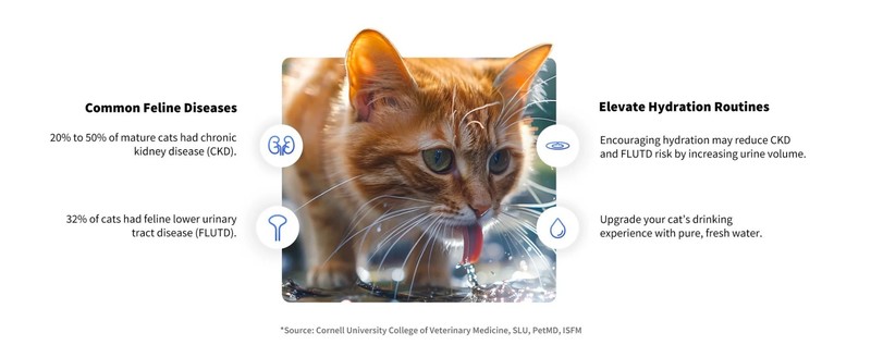 Zakaj potrebujte vodno fontano za hišne ljubljenčke