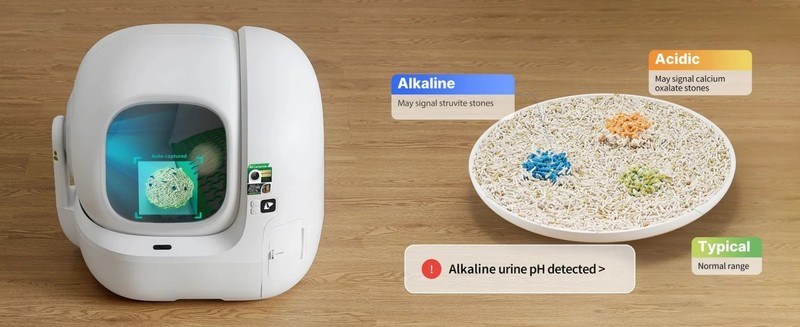 Ker nam je mar za ZDRAVJE vaše mačke!