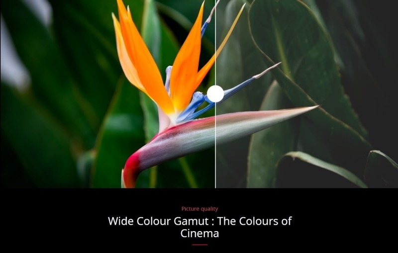 HDR PRO, Dolby Vision in Wide Colour Gamut