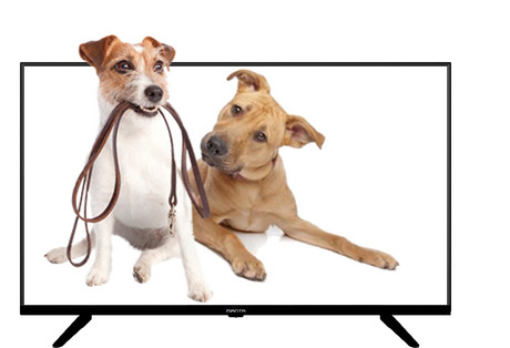 EOL - LED TV Manta 40LFN19S, 40'' (diagonala 102cm), Full HD, USB, HMDI, črn