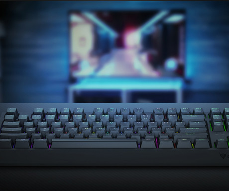 GENESIS THOR 230 TKL gaming mehanska tipkovnica, brezžična / žična, USB 2.4GHz / BT / USB-C, baterija, RGB LED, Hot-Swap, Anti-Ghosting, Outemu Red, spomin, programska oprema, Plug&Play, F1-F12, črna