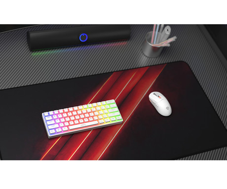 GENESIS THOR 660 G2 gaming mehanska tipkovnica, žična / brezžična, USB 2.4GHz / BT 5.0 / USB-C, baterija, RGB LED, RapidSpeed, Gateron Brown stikala, spomin, programska oprema, Plug & Play, bela