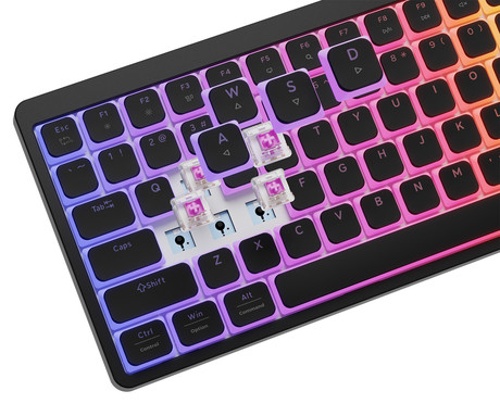 GENESIS THOR 430 TKL gaming mehanska tipkovnica, žična, RGB LED osvetlitev, Hot-Swap tehnologija, Anti-Ghosting, Outemu Pink stikala, spomin, programska oprema, Plug & Play, F1-F12, črna