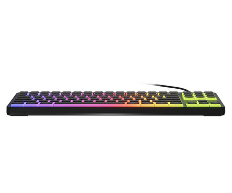 GENESIS THOR 430 TKL gaming mehanska tipkovnica, žična, RGB LED osvetlitev, Hot-Swap tehnologija, Anti-Ghosting, Outemu Pink stikala, spomin, programska oprema, Plug & Play, F1-F12, črna