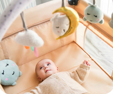 MoMi ZIZI otroška palica z igračami, univerzalna