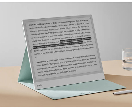 BOOX Note Max originalni magnetni ovitek / etui, za Note Max, siv (Light Gray)