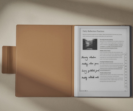 BOOX Go 10.3 Series originalni ovitek / etui, za model Go 10.3 / Go 10.3 Gen II / Go 10.3 Gen II Lumi, preklopni, magnetni, funkcija stojala, funkcija bujenja zaslona, rjav (Mocha)