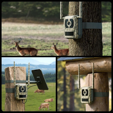 Reolink CAMOVUE TALON S130 IP kamera, kamuflažna/lovska, 8MP 4K Ultra HD, 4G LTE, GPS lociranje, SIM priložen, polnilna baterija, AI zaznavanje, Starlight Night Vision, aplikacija, pametni alarm, IP67