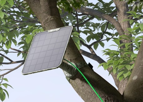Reolink TRACKMIX G770 CAMO IP kamera + solarni panel, 8MP 4K Ultra HD, 4G LTE, 355° vrtenje, 6x hibridni ZOOM, 36.72Wh baterija, AI zaznavanje, barvni Night Vision, aplikacija, dvosmerna komunikacija