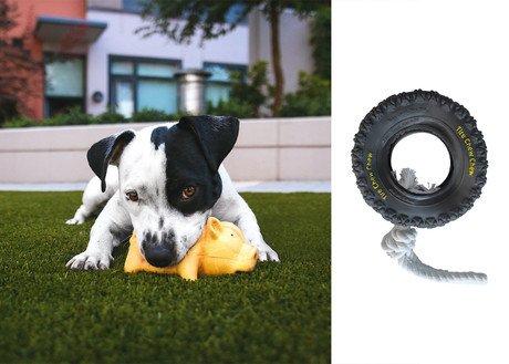 EOL - Pasja igralna vrv z gumo