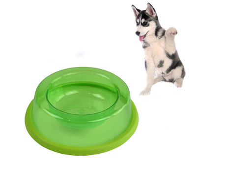 EOL - Posoda za vodo / hrano, za mačke ali pse, 150 ml, zelena