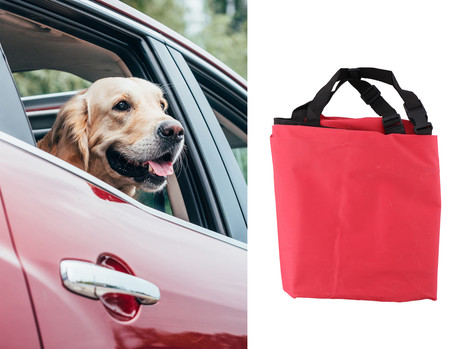 EOL - Pet Transport prevleka za zadnje sedeže pri prevozu živali, 125x43x38cm, rdeča