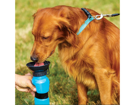 EOL - Prenosna flaška za pse, 2v1, flaška + skodelica, 500ml, modra