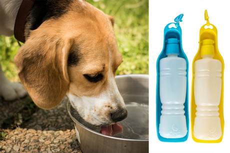 EOL - Prenosna flaška za pse, 2v1, flaška + skodelica, 450ml, modra
