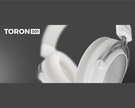 GENESIS TORON 301 naglavne slušalke, gaming / pisarniške, 2.0 STEREO zvok, snemljiv mikrofon / kabel, ultra lahka teža, univerzalna povezljivost, bele (Howlite White)