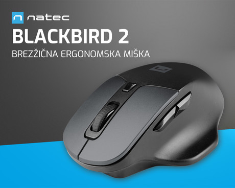 Natec BLACKBIRD 2 brezžična miška, ergonomska, USB 2.4GHz, 1600DPI, 6 gumbov, tiha stikala, 1x AA baterija, optični senzor, teflonski drsniki, črna