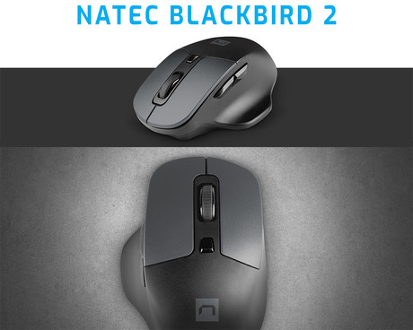 Natec BLACKBIRD 2 brezžična miška, ergonomska, USB 2.4GHz, 1600DPI, 6 gumbov, tiha stikala, 1x AA baterija, optični senzor, teflonski drsniki, črna