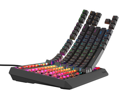 GENESIS THOR 230 TKL Lite gaming mehanska tipkovnica, žična, RGB LED osvetlitev, Hot-Swap tehnologija, Anti-Ghosting, Outemu Red stikala, spomin, programska oprema, Plug & Play, F1-F12, črna
