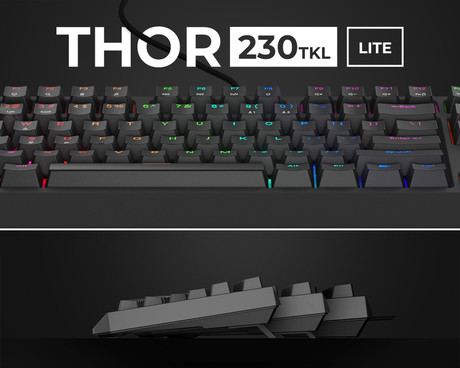 GENESIS THOR 230 TKL Lite gaming mehanska tipkovnica, žična, RGB LED osvetlitev, Hot-Swap tehnologija, Anti-Ghosting, Outemu Red stikala, spomin, programska oprema, Plug & Play, F1-F12, črna