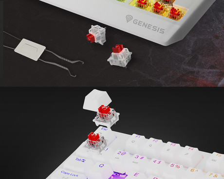 GENESIS THOR 230 TKL gaming mehanska tipkovnica, žična, RGB LED osvetlitev, Hot-Swap tehnologija, Anti-Ghosting, Outemu Red stikala, spomin, programska oprema, Plug & Play, F1-F12, bela