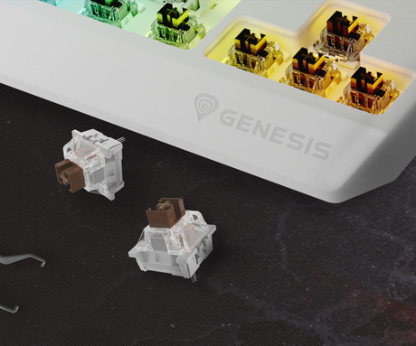 GENESIS THOR 230 TKL gaming mehanska tipkovnica, žična, RGB LED osvetlitev, Hot-Swap tehnologija, Anti-Ghosting, Outemu Brown stikala, spomin, programska oprema, Plug & Play, F1-F12, bela