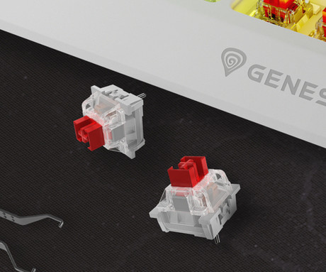 GENESIS THOR 230 TKL gaming mehanska tipkovnica, brezžična / žična, USB 2.4GHz / BT / USB-C, baterija, RGB LED, Hot-Swap, Anti-Ghosting, Outemu Red, spomin, programska oprema, Plug&Play, F1-F12, bela