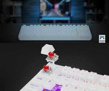 GENESIS THOR 230 TKL gaming mehanska tipkovnica, brezžična / žična, USB 2.4GHz / BT / USB-C, baterija, RGB LED, Hot-Swap, Anti-Ghosting, Outemu Red, spomin, programska oprema, Plug&Play, F1-F12, bela