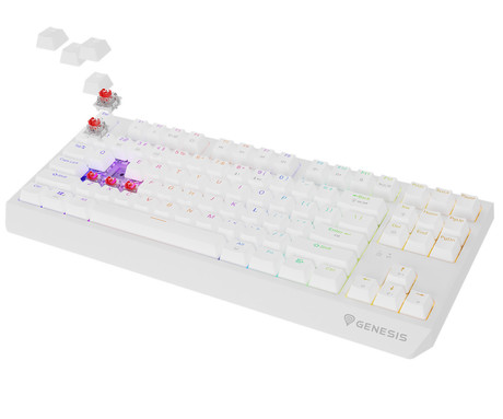 GENESIS THOR 230 TKL gaming mehanska tipkovnica, brezžična / žična, USB 2.4GHz / BT / USB-C, baterija, RGB LED, Hot-Swap, Anti-Ghosting, Outemu Red, spomin, programska oprema, Plug&Play, F1-F12, bela