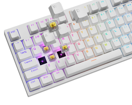 GENESIS THOR 404 gaming mehanska tipkovnica, žična, RGB LED osvetlitev, Hot-Swap tehnologija, Anti-Ghosting, Gateron Yellow Pro stikala, spomin, programska oprema, Plug & Play, F1-F12, bela