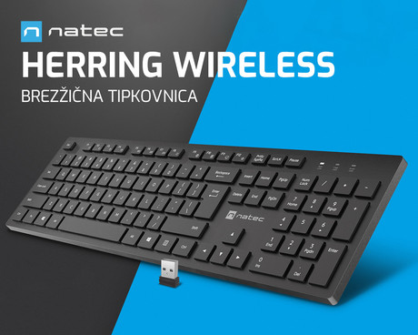 Natec HERRING WIRELESS brezžična tipkovnica, membranska, profesionalna, USB 2.4GHz, CHICLET tiha stikala, nizek profil, 2x AAA baterija, 12 multimedijskih tipk, Windows / Android / Linux, črna