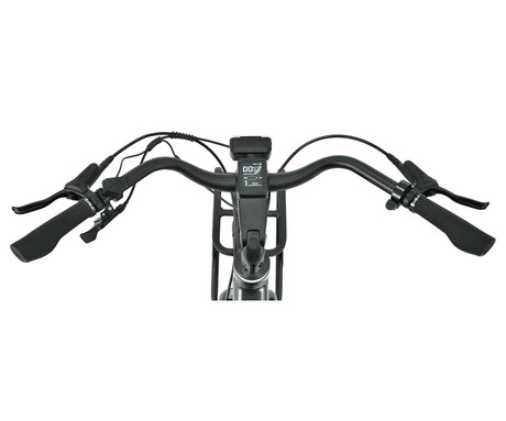 MS ENERGY ZORYA PLUS električno kolo, cestno / mestno, 28" pnevmatike, 250W ANANDA motor, 360Wh 36V 10Ah baterija, do 70km, Carbon Gates jermen, TEKTRO disk zavore, LCD zaslon, zlato (Silver Gold)