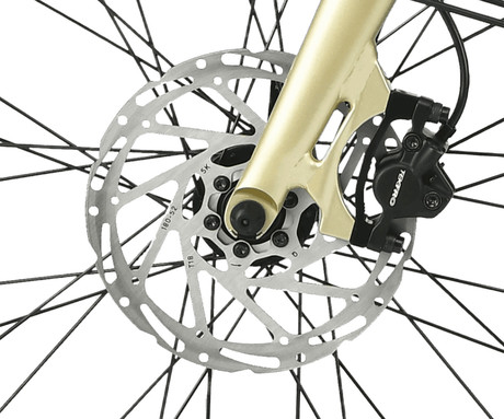 MS ENERGY ZORYA PLUS električno kolo, cestno / mestno, 28" pnevmatike, 250W ANANDA motor, 360Wh 36V 10Ah baterija, do 70km, Carbon Gates jermen, TEKTRO disk zavore, LCD zaslon, zlato (Silver Gold)