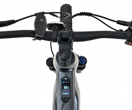MS ENERGY PERUN električno kolo, MTB / gorsko, 29" pnevmatike, 250W 70Nm ANANDA motor, 720Wh 48V 15Ah baterija, do 135km, SHIMANO Alivio 9-speed, TEKTRO disk zavore, LCD zaslon, zlato (Special Gold)