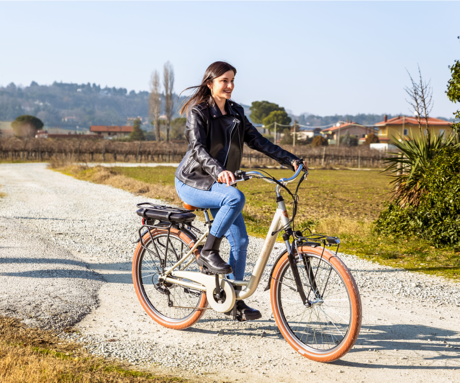 TREVI EMG AUDREY električno kolo, cestno/mestno, vintage, 26" pnevmatike, 250W motor, 36V 13Ah 468Wh baterija, Shimano, do 80km, V-zavore, vzmetenje, LED prikazovalnik, rjavo bež (Champagne)