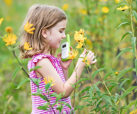 MOTOROLA T42 walkie talkie komplet, 2-KIT, PMR446, 16 kanalov, doseg 4km, +dodatki, moder, oranžen