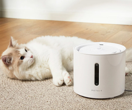 PETKIT EWERSWEET SOLO 2 pametna vodna fontana, za pse / mačke, 2L prostornina, 3 načini delovanja, Wireless 3.0 vodna črpalka, Bluetooth, aplikacija, enostavno čiščenje, 18.5x18.5x16.4cm, bela