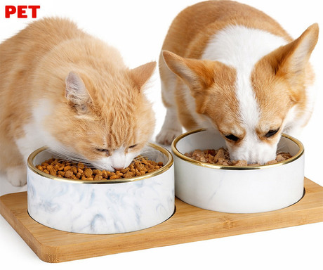 Pet Treatment dvojna posoda s stojalom za mačke, za hrano / vodo, keramika, bambus, 29.5x15x6cm, bela, rjava